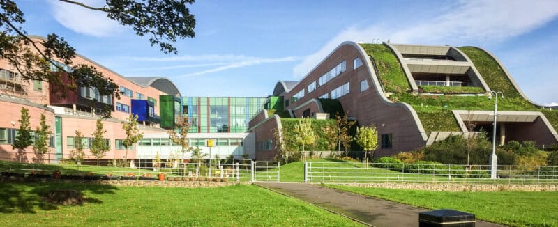 Portuguese child among three who have died following UK knife attack