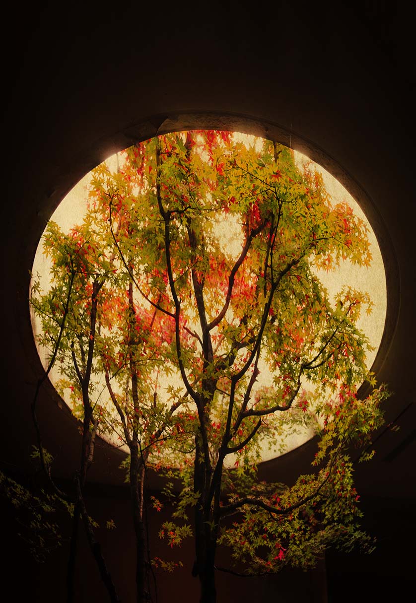 Pink Albarran Cabrera art