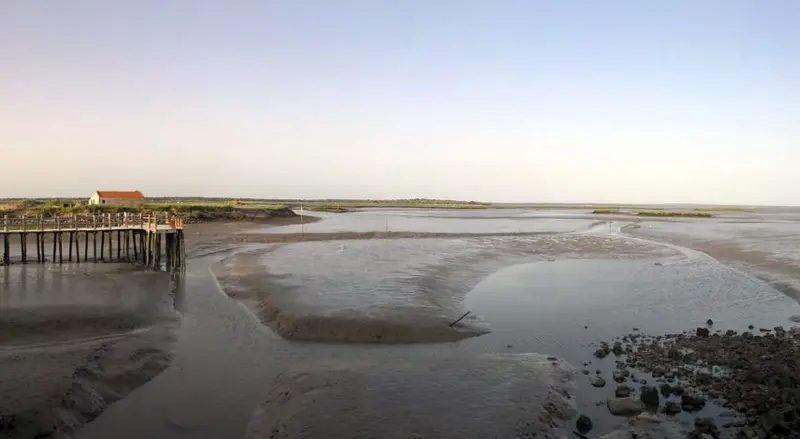 empty riverbed