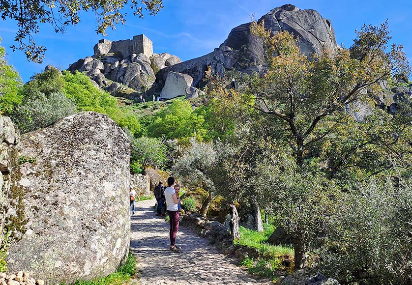 Knights Templar castle at Monsanto's summit|Ancient wine press cut from rock in Castelo Novo|Town Hall in main plaza at Castelo Novo|Old Roman entrance to Idanha-a-Velha|A wonderful old tree in Idanha-a-Velha's centre was like Harry Potter's Whomping Willow!|Houses in Monsanto are built amngst gigantic boulders|Sortelha's 12th century castle is built on a formidable pile of rocks!|The lovely Largo de Pelourinho sits at Sortelha's centre|Belmonte Castle stands at the highest point in the town|The statue of Pedro Álvares Cabral (discoverer of Brazil) stands proudly in Belmonte's centre