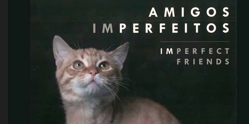 (‘Imperfect Friends’ book to be presented to public at Lagoa library on October 4