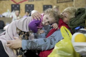 Ukraine: Animal Rescue Algarve swings into action in bid to make a difference