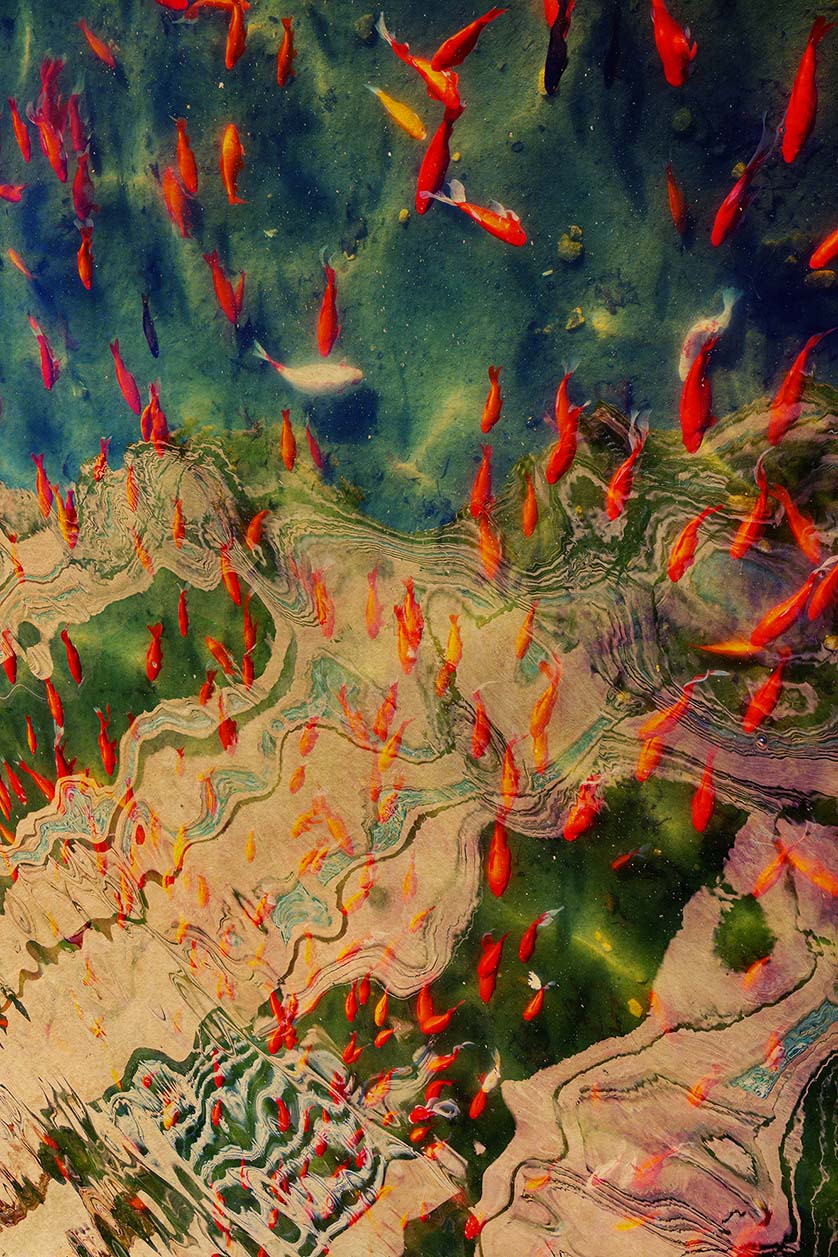 Pink Albarran Cabrera art