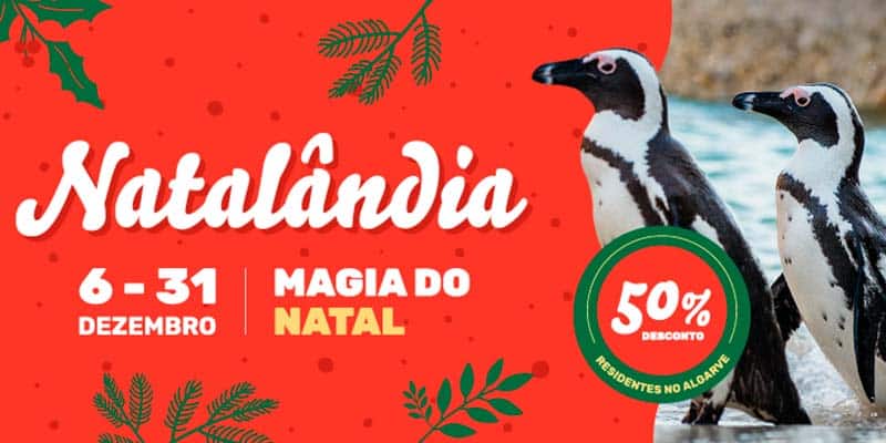 Lagos Zoo offers Algarve residents half-price tickets for “Natalândia”