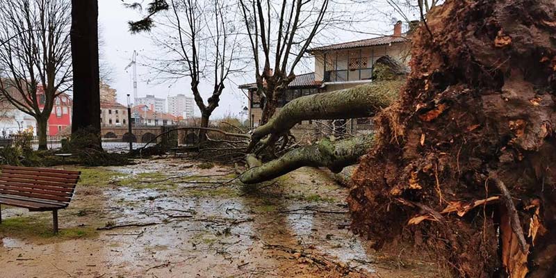 Storm Elsa batters Portugal as authorities report widespread damage