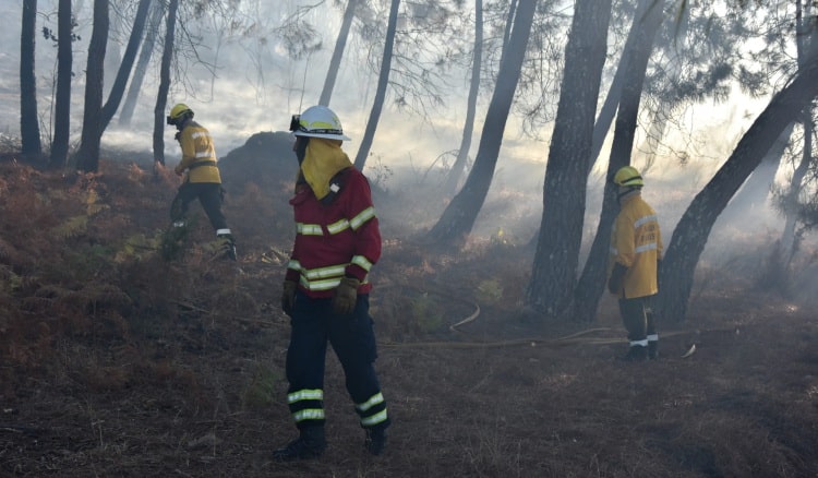 Portugal’s 140 firefighters return from Canada after fortnight
