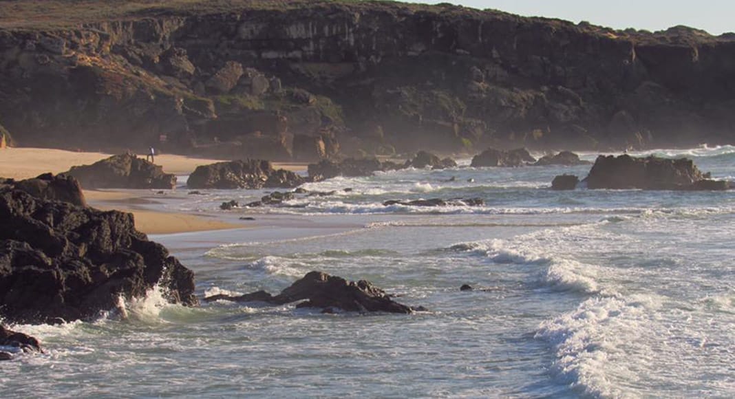 Petition to save Costa Vicentina natural park from ‘uncontrollable intensive agriculture’ enters parliament