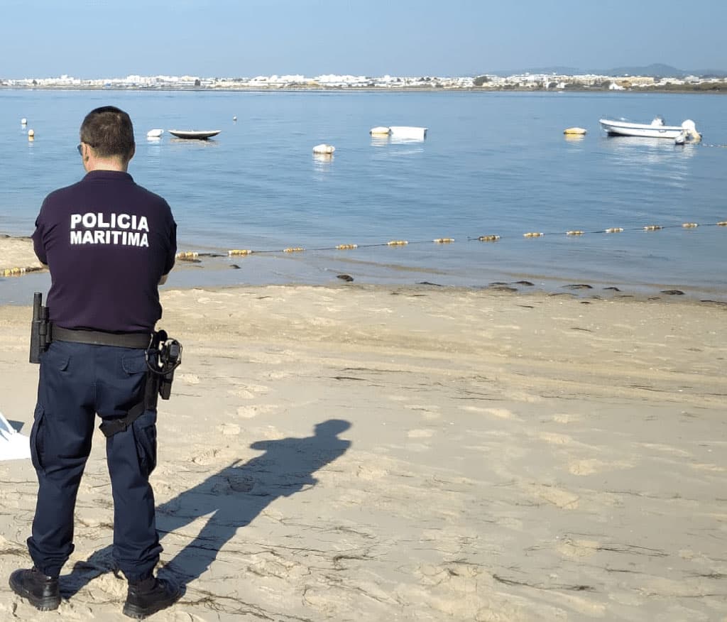 Photo: AMN|dead fish in Ria Formosa