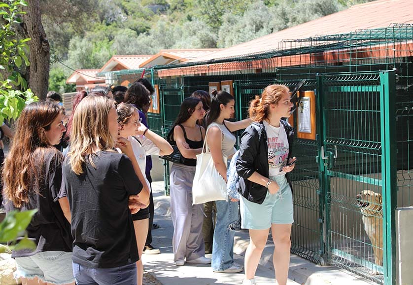 Loulé students visit Animal Rescue Algarve|Loulé students visit Animal Rescue Algarve|Loulé students visit Animal Rescue Algarve|Loulé students visit Animal Rescue Algarve|Loulé students visit Animal Rescue Algarve|Loulé students visit Animal Rescue Algarve|Loulé students visit Animal Rescue Algarve