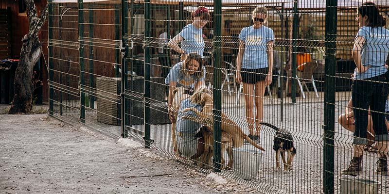 Groundbreaking kennels face demolition