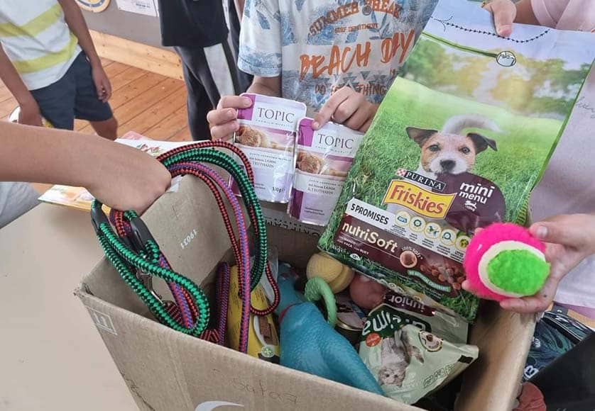 Almancil students create art in aid of animal welfare|Almancil students create art in aid of animal welfare|Almancil students create art in aid of animal welfare|Almancil students create art in aid of animal welfare|Almancil students create art in aid of animal welfare|Almancil students create art in aid of animal welfare