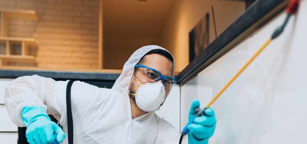 Silves closes municipal buildings for pest control