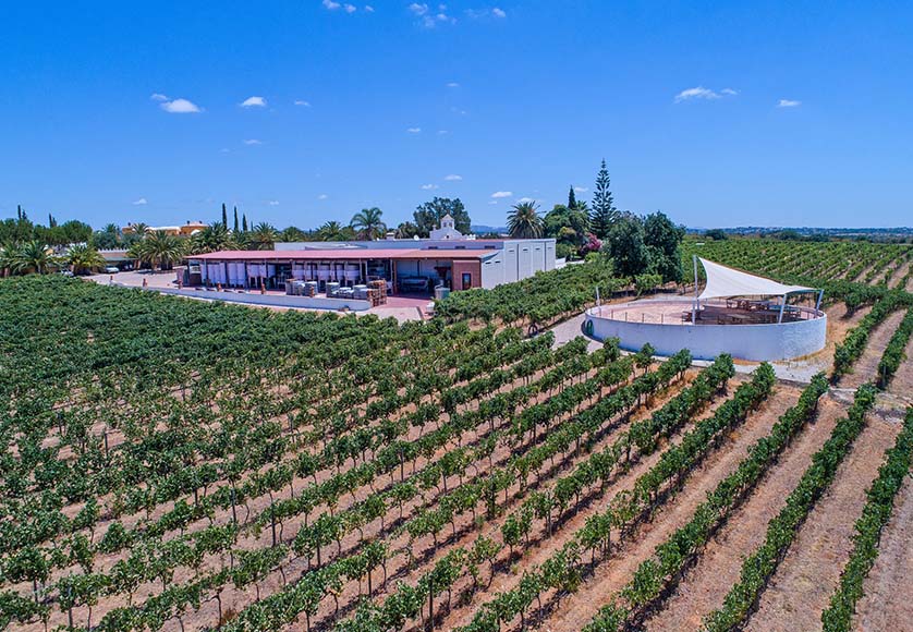 Adega do Cantor|Adega do Cantor wine