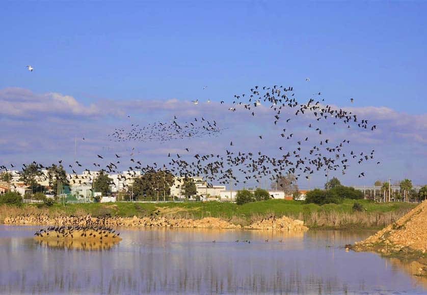 Alagoas Brancas|Alagoas Brancas|Alagoas Brancas