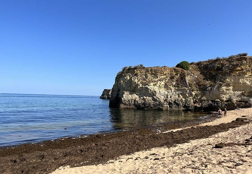 Praia da Batata, Lagos - photo taken on Friday, June 23|Praia da Batata, Lagos - photo taken on Friday, June 23|Praia da Rocha - photo taken on Friday, June 23|Praia do Camilo, Lagos - photo taken on Friday, June 23|Praia Dona Ana, Lagos - photo taken on Friday, June 23|Seaweed removal at Carvoeiro beach on Wednesday, June 21