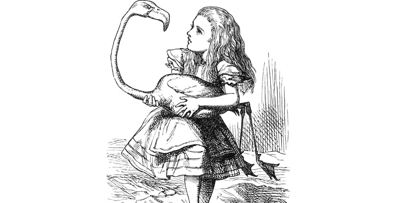 ALICE… IN WONDERLAND