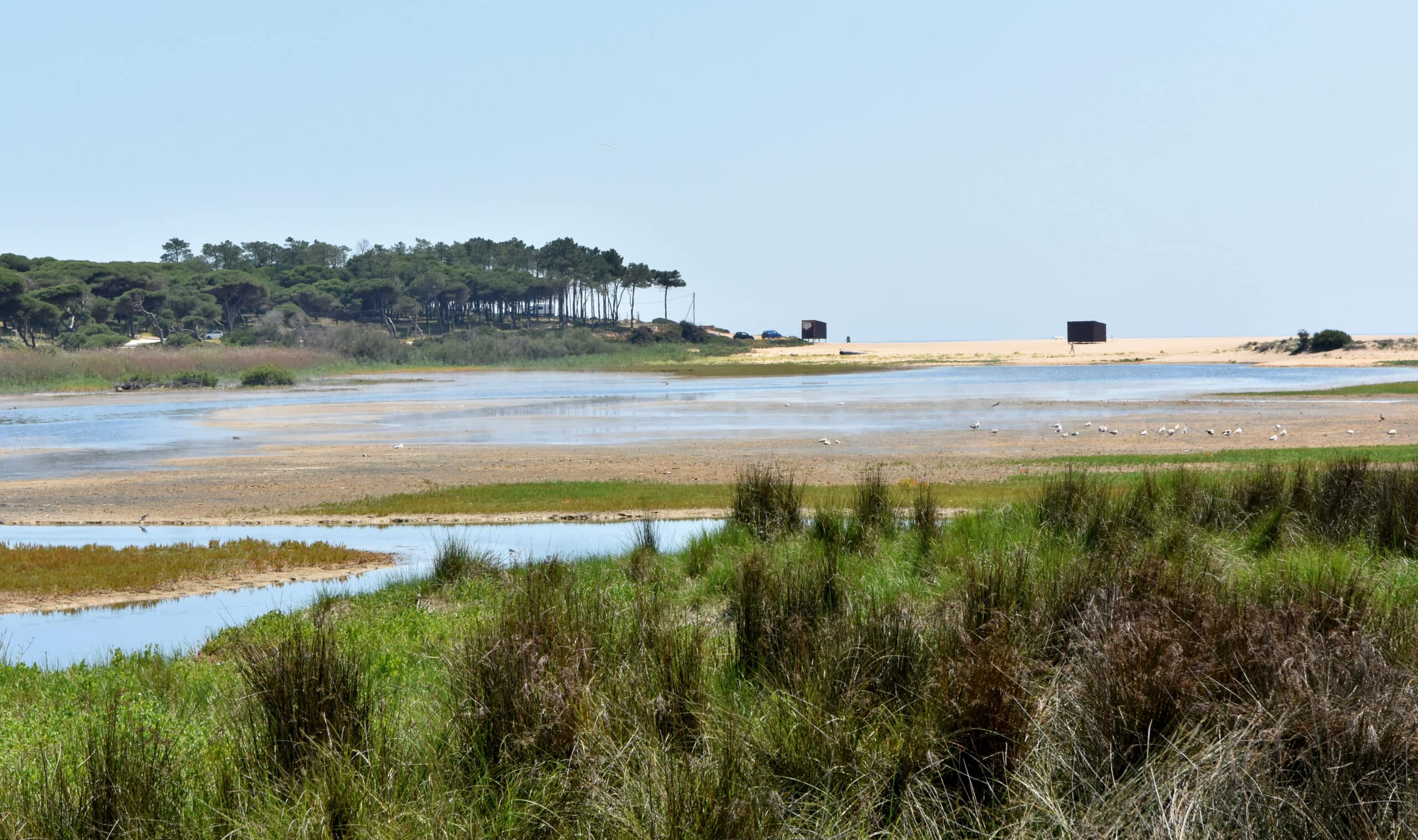 Loulé wetland|Loulé wetland|Loulé wetland|Loulé wetland