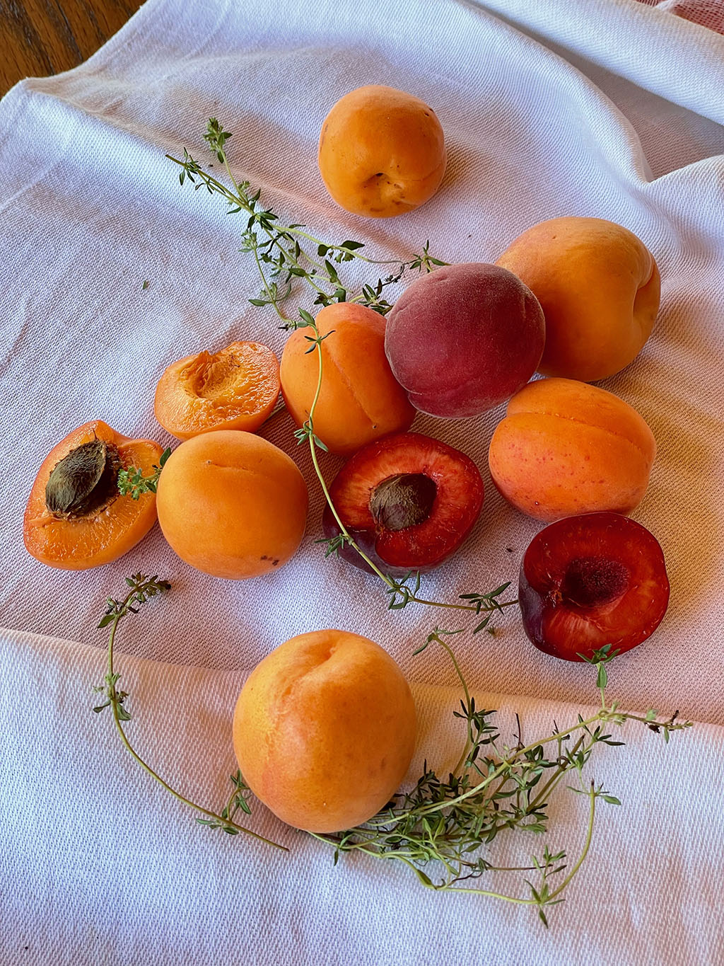 Apricots of Portugal|Apricot bars in the making|King Sarduri I by Rubik Kocharian_2013