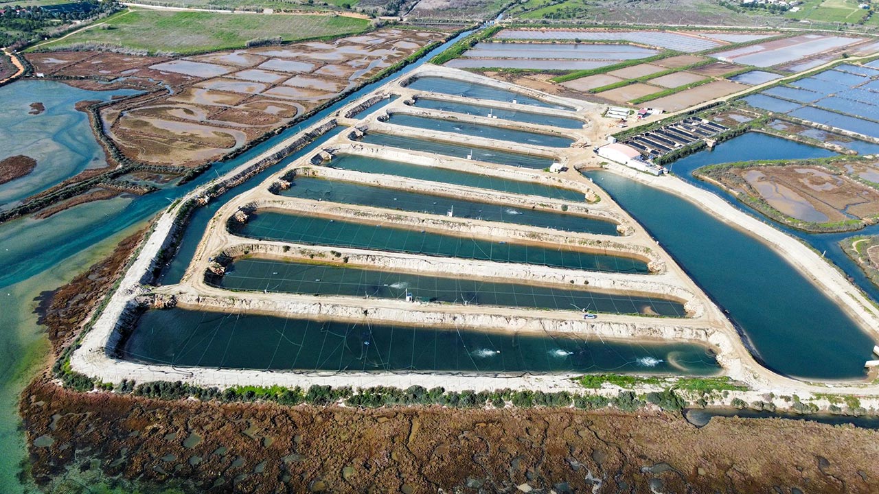 Aqualvor invests over €900k in Aquamarim project in Olhão