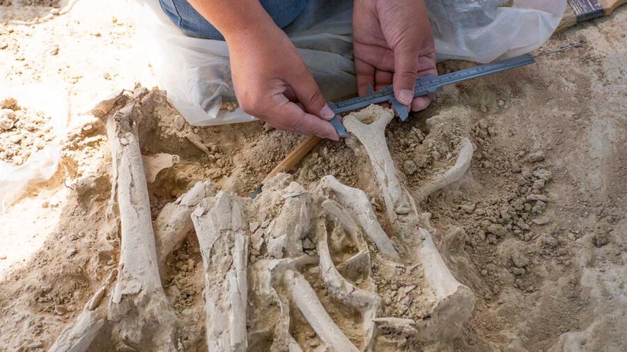 Silves hosts 10th Algarve Archeology Meeting