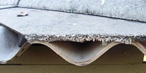 Asbestos removed from 31 Algarve schools