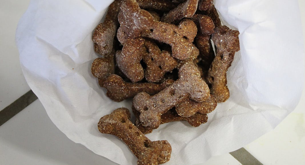 Bake My Dog Happy: new organic treats to spoil your dog