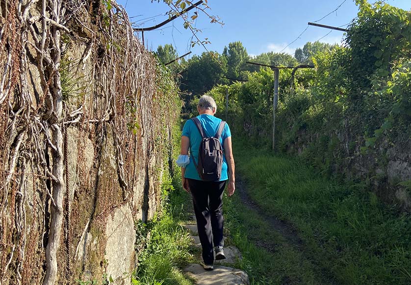 Caminho Português|Arriving Caminho Português Ponte de Lima|Caminho Português|Caminho Português