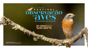 Birdwatching Festival returns to Sagres between October 5 and 8