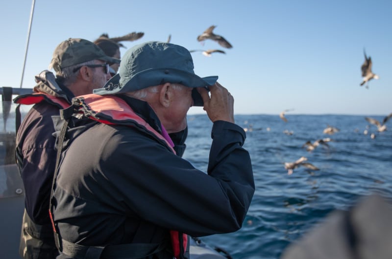 Sagres hosts the biggest nature event in the country|Sagres hosts the biggest nature event in the country|Sagres hosts the biggest nature event in the country
