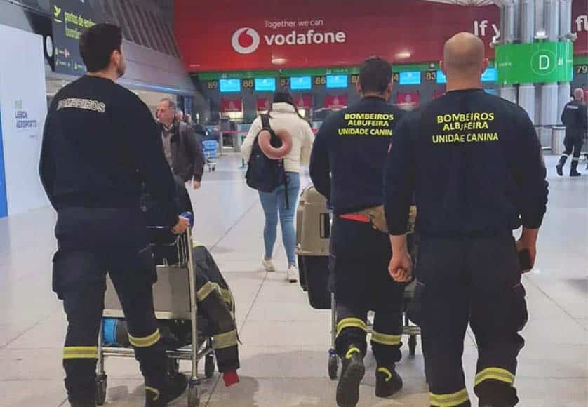 Albufeira firefighters André Cabrita and Cláudio Marujo and dog Axe at the airport