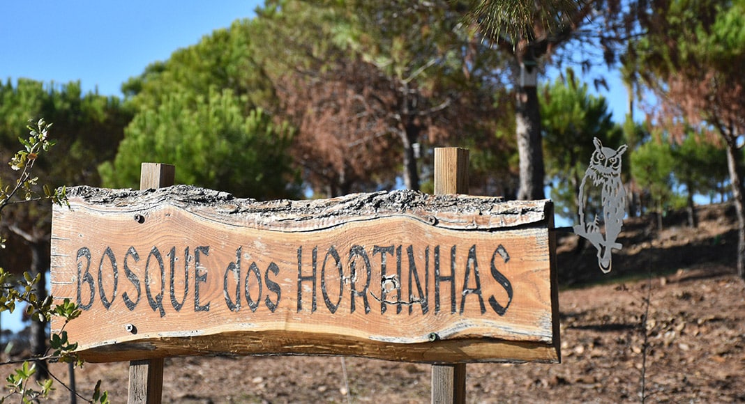 Bosque das Hortinhas: an oasis in the heart of Eastern Algarve’s burnt landscape|Bosque das Hortinhas: an oasis in the heart of Eastern Algarve’s burnt landscape|Bosque das Hortinhas: an oasis in the heart of Eastern Algarve’s burnt landscape|Bosque das Hortinhas: an oasis in the heart of Eastern Algarve’s burnt landscape