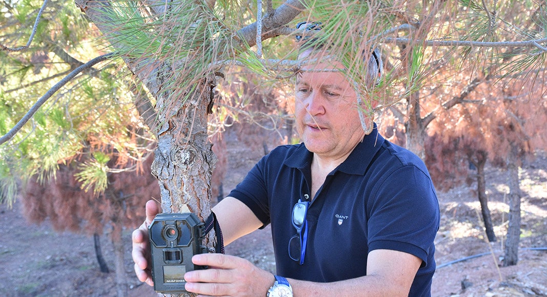 Bosque das Hortinhas: an oasis in the heart of Eastern Algarve’s burnt landscape