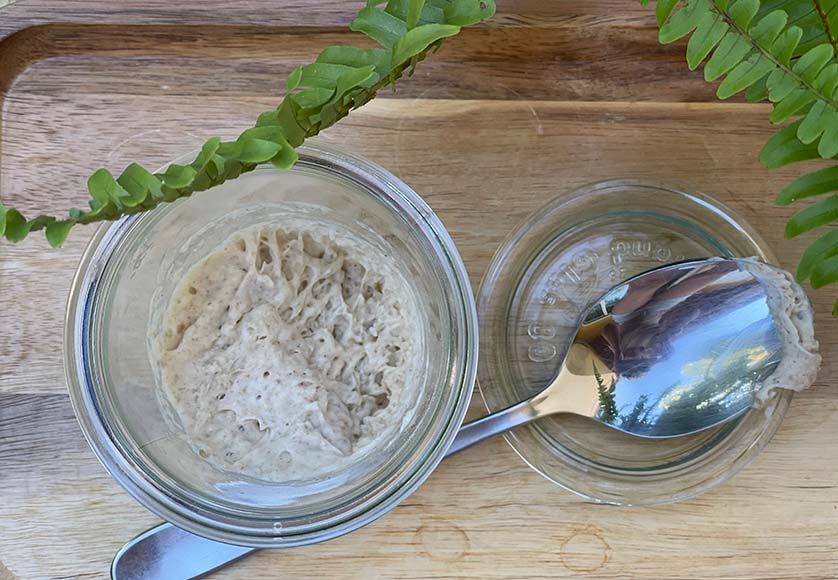 Bread - Starter ready for a refresh|Bread - Active starter|Bread - Just refreshed
