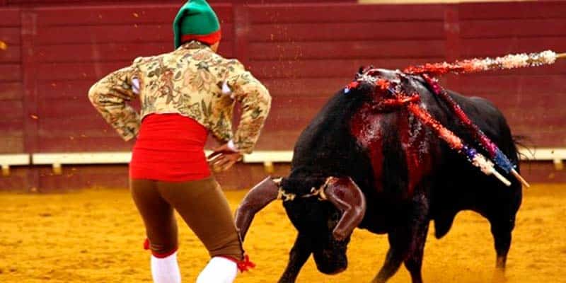 Bullfighters join ‘cultural demo’ planned for December 10