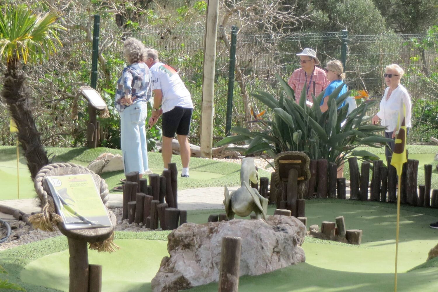 CASA crazy golf
