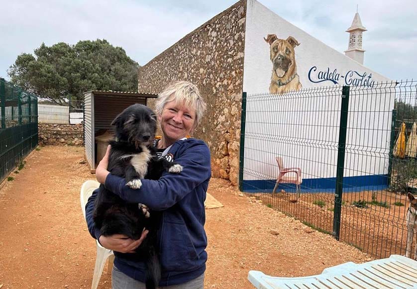Lagos animal association calls for help to buy shelter land|Lagos animal association calls for help to buy shelter land|Lagos animal association calls for help to buy shelter land|Lagos animal association calls for help to buy shelter land|Lagos animal association calls for help to buy shelter land