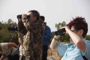 Registrations open for Sagres Birdwatching Festival