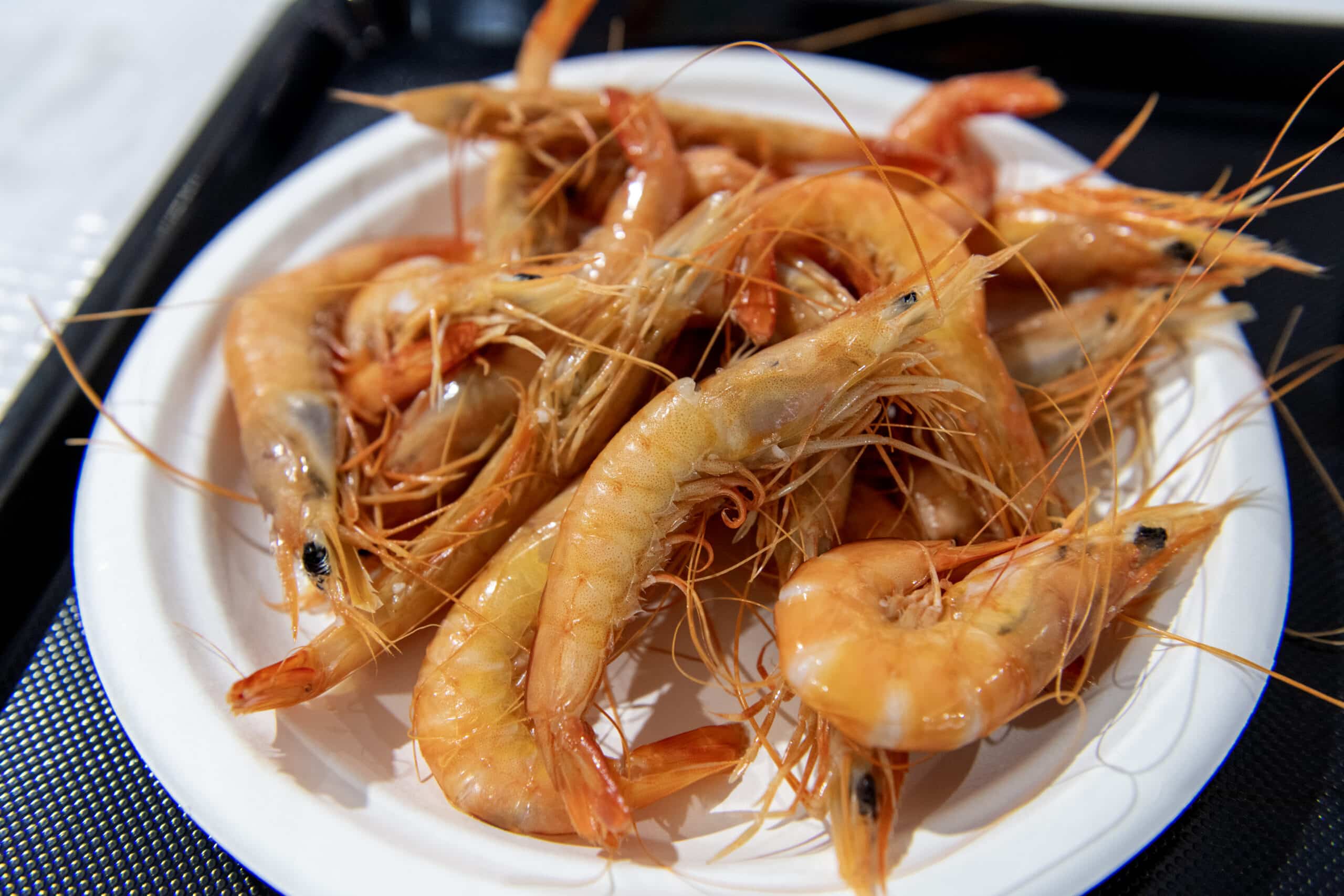 Fresh seafood at Faro's 'Festa da Ria Formosa'|Fresh seafood at Faro's 'Festa da Ria Formosa'|Fresh seafood at Faro's 'Festa da Ria Formosa'