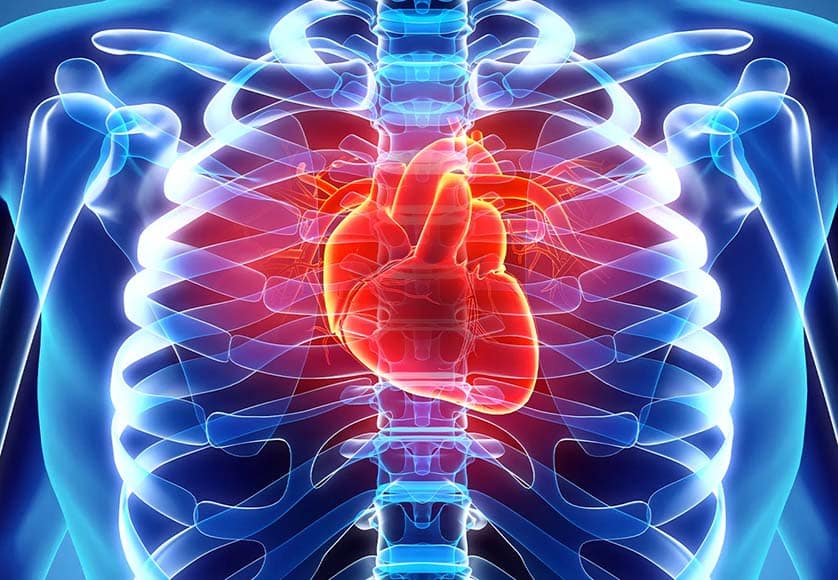 Risk factors assessment of cardiovascular disease in specific population groups