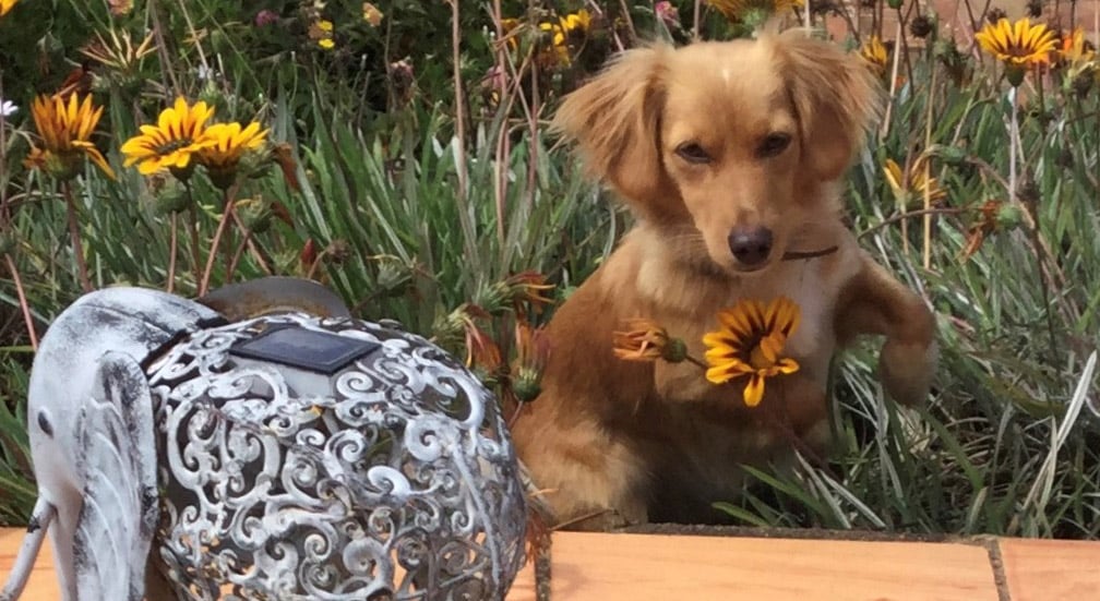 Leftovers – what do you with them?