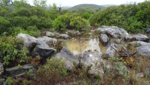 ‘Catastrophic’ mega solar farm plan officially shelved