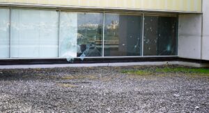 Lagoa denounces vandalism at congress centre