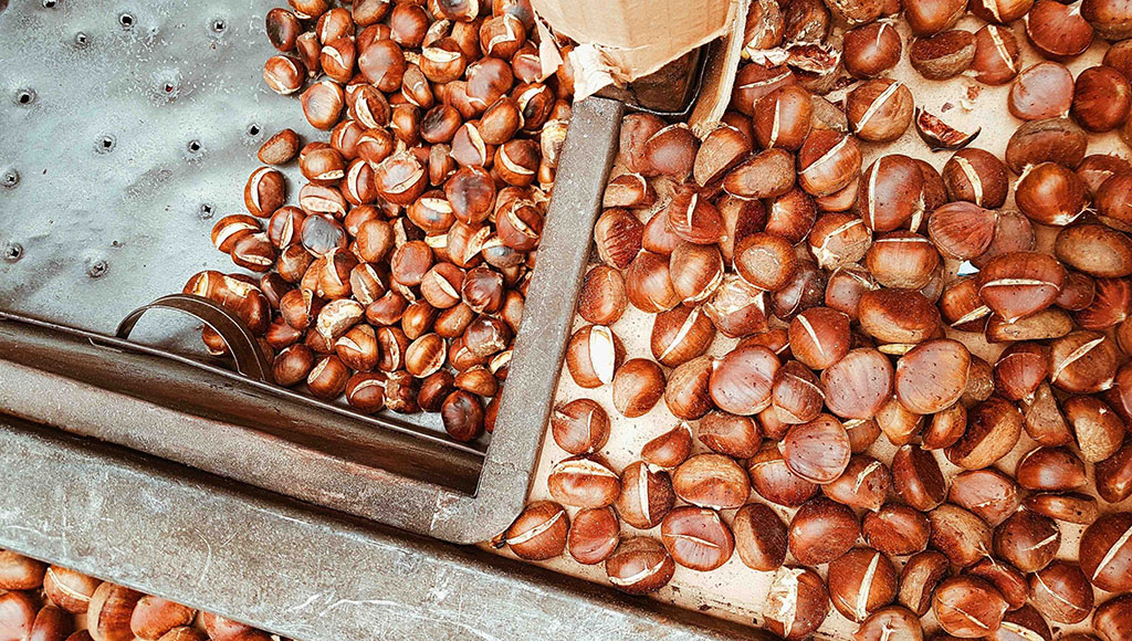 Chestnut UNSPLASH SML