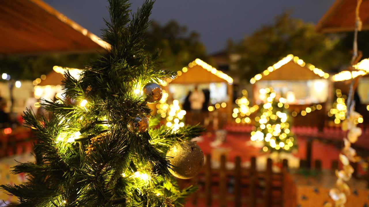 Christmas Market|Christmas Market|Monchique Christmas Market 2024