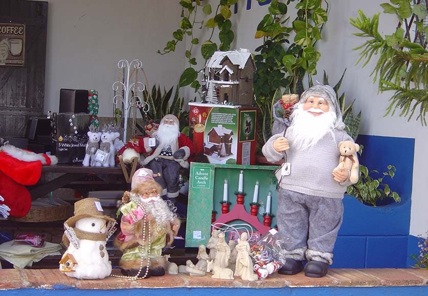 Pet Corner - AWOL, Pop-Ups, deccies and chips