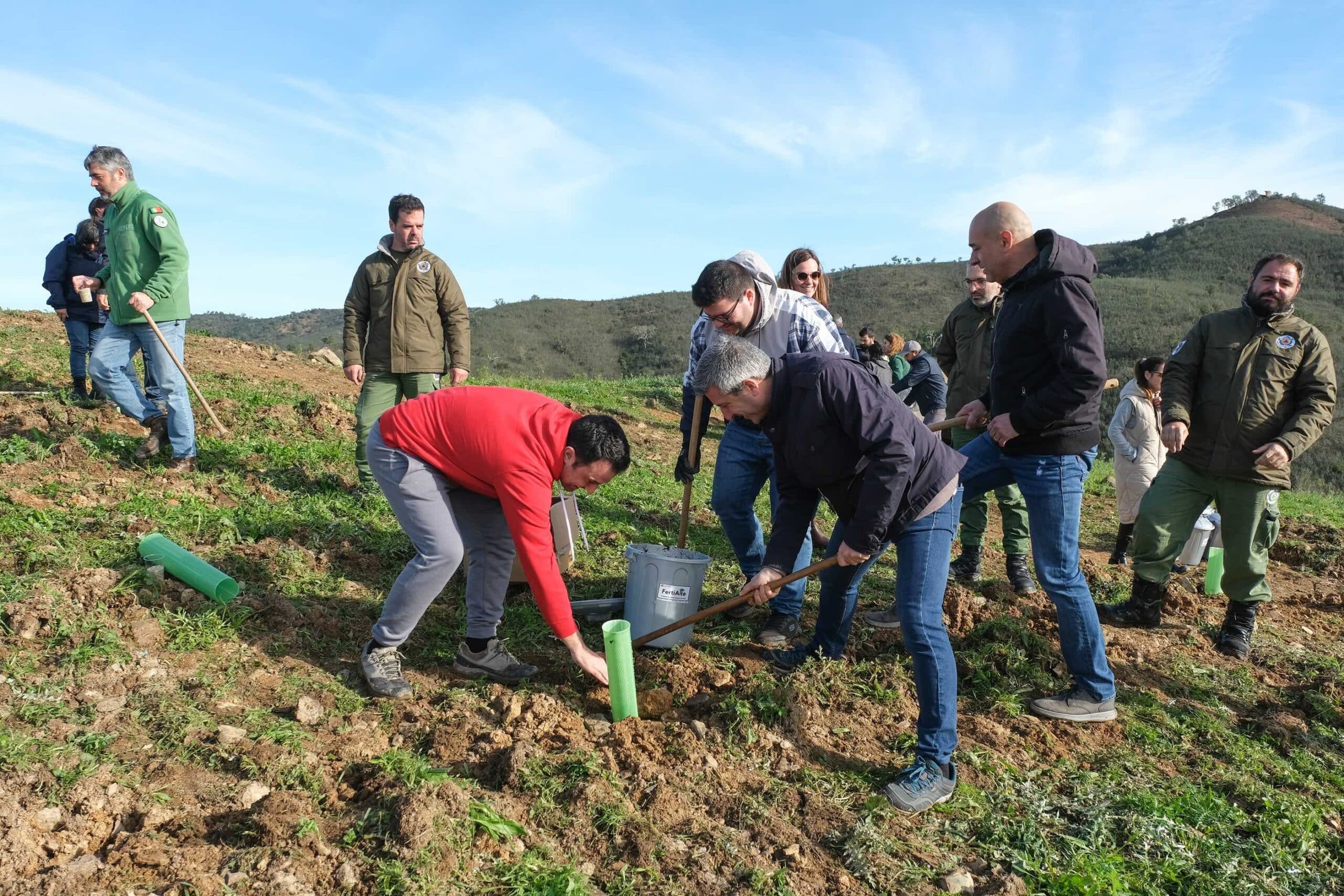 Close to 40 thousand trees planted in Loulé in 2023|Close to 40 thousand trees planted in Loulé in 2023.2|Close to 40 thousand trees planted in Loulé in 2023