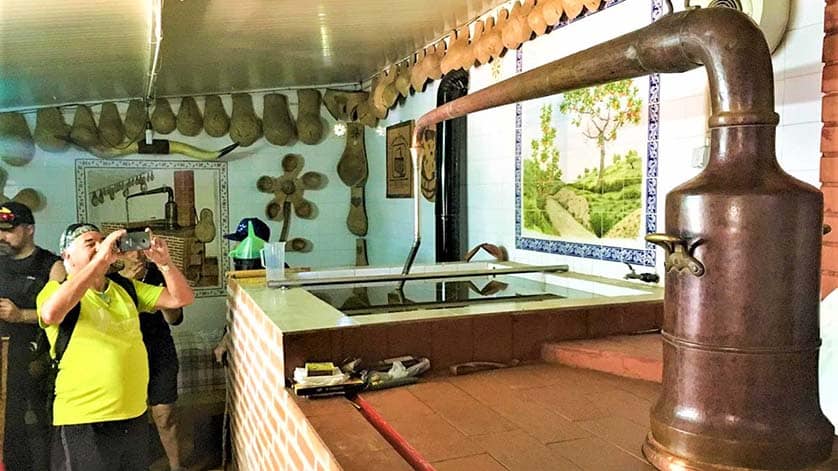 Firewater and honey to take centre stage in Cortelha