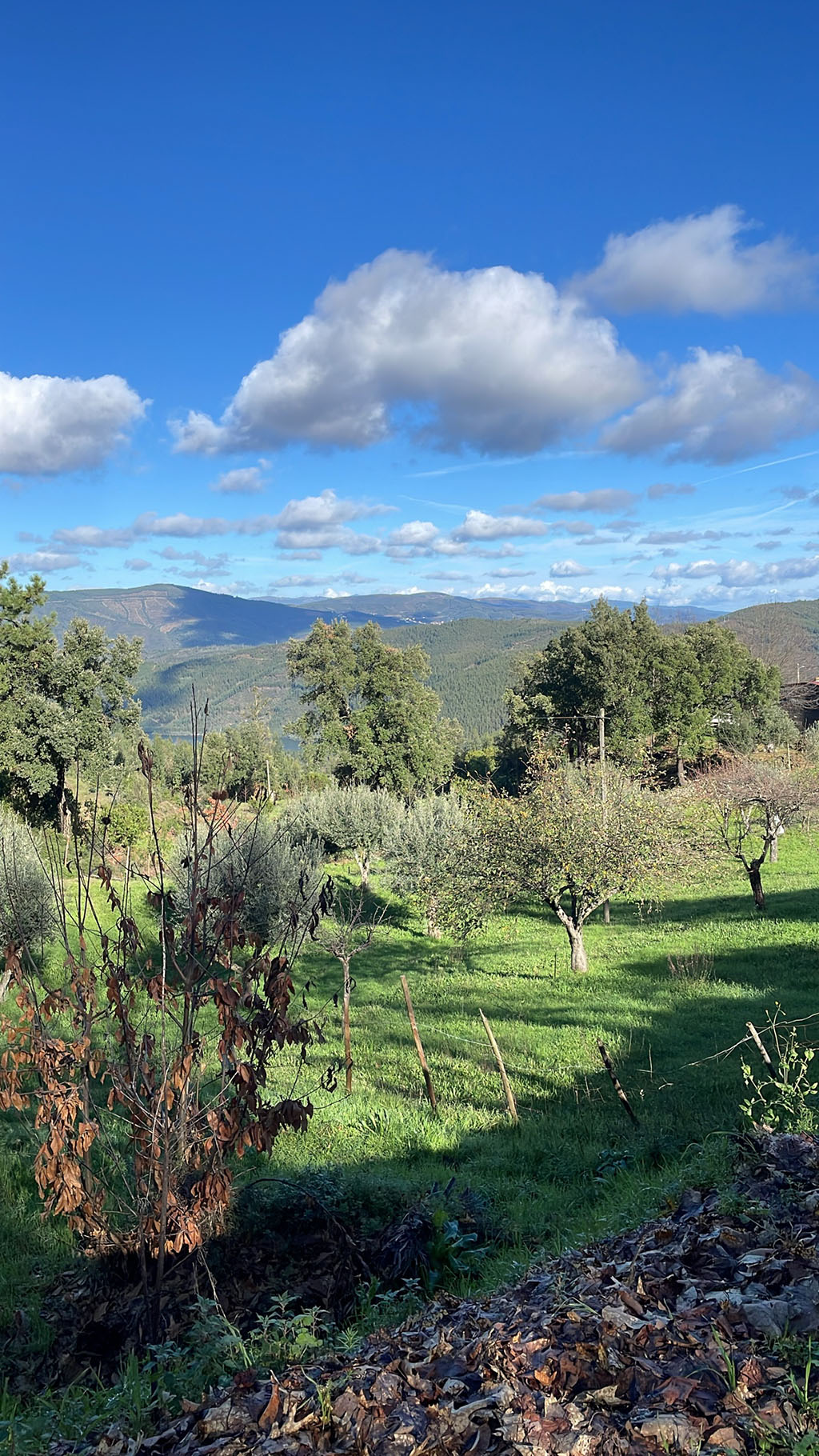 Countryside view towards the Serra da Estrela