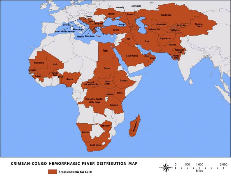Crimean Congo Haemorrhagic Fever MAP|