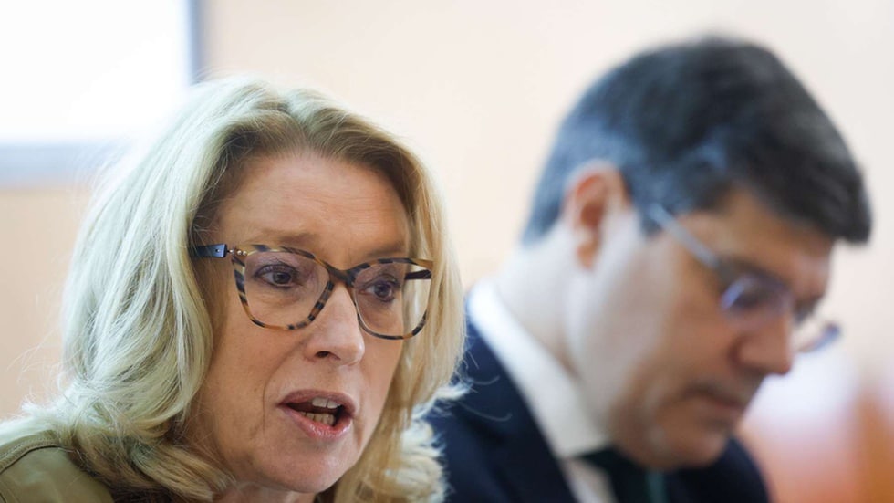 Minister Maria do Rosário Palma Ramalho. Image: Lusa